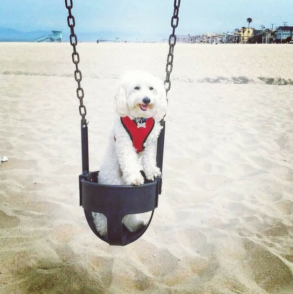 Share 20 ๐ปSharing is Caring๐ป - Picture 5 of 16